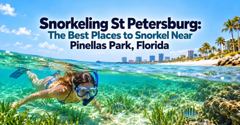 Snorkeler-exploring-clear-turquoise-water-with-tropical-fish-near-the-St.-Petersburg-and-Pinellas-Park-Florida-coastline